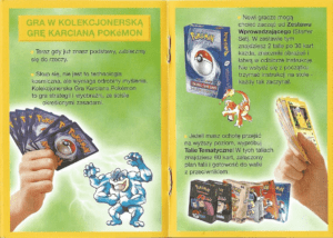 Przewodnik-PTCG-6