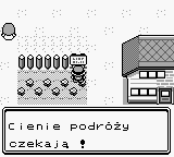 Podróż Pokemon też ma swoje blaski i cienie