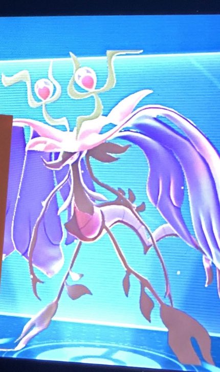 Wg przecieków w Pokemon Legends Z-A mamy zobaczyć takiego Mega Dragalge