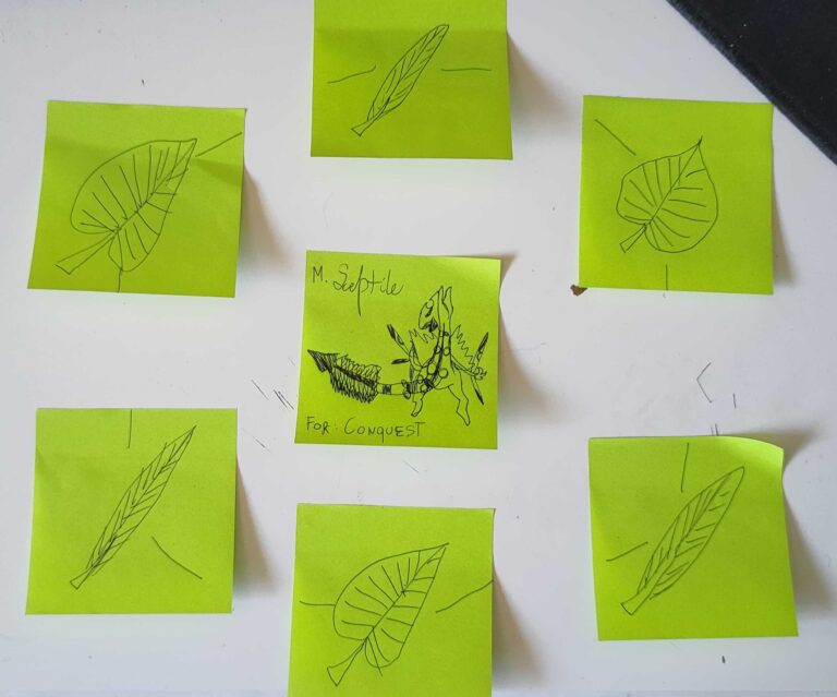 Magiczny krąg mający przywołać potężnego Sceptile'a