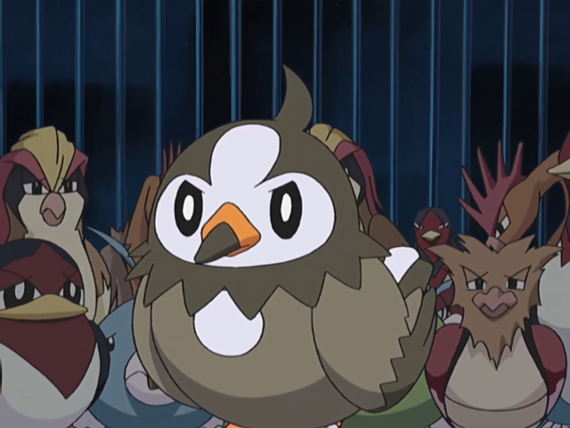 Pokemon Diament i Perła, odc. 013 Narodziny Staravii