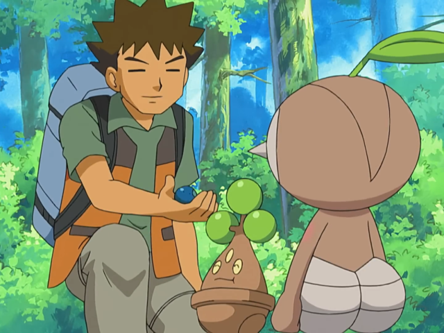 Pokémon Diament i Perła, odc. 014 Zadanie dla Brocka